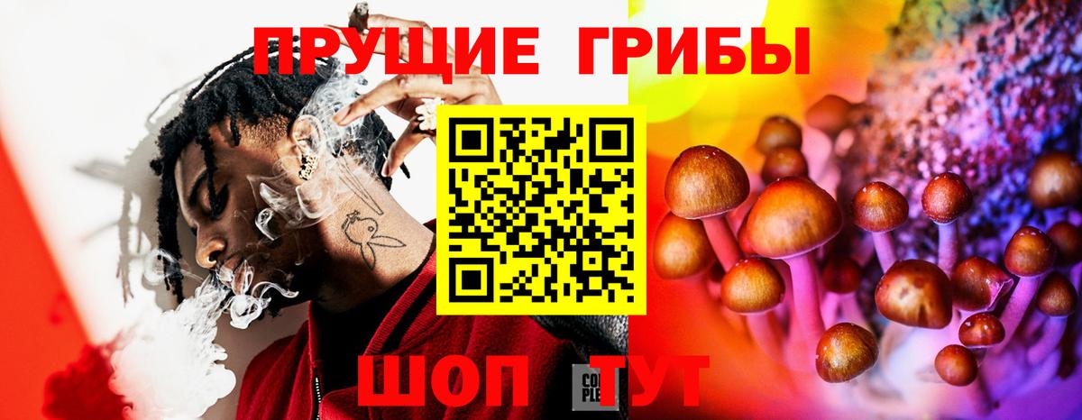 Галлюциногенные грибы Magic Shrooms  Псилоцибиновые грибы GOLDEN TEACHER  Сокол  Вход с VPN 